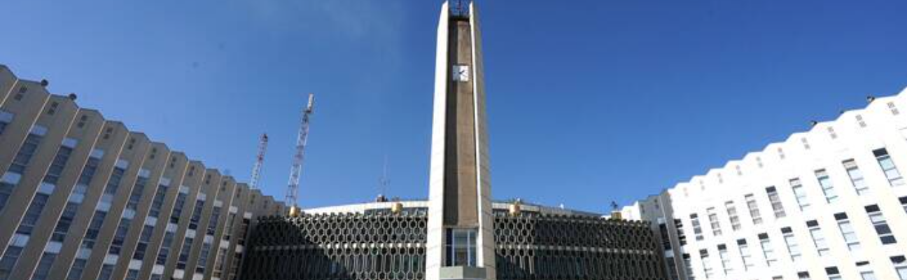 Public Services